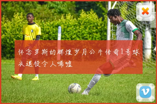怀念罗斯的辉煌岁月公牛传奇1号球衣退役令人唏嘘